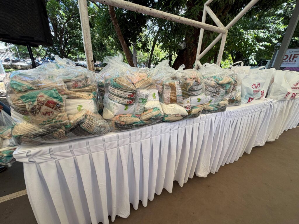 Encabeza Sofía Espinoza Abarca jornada de atención social en Tapachula 1 FOTOS DIF 4 1