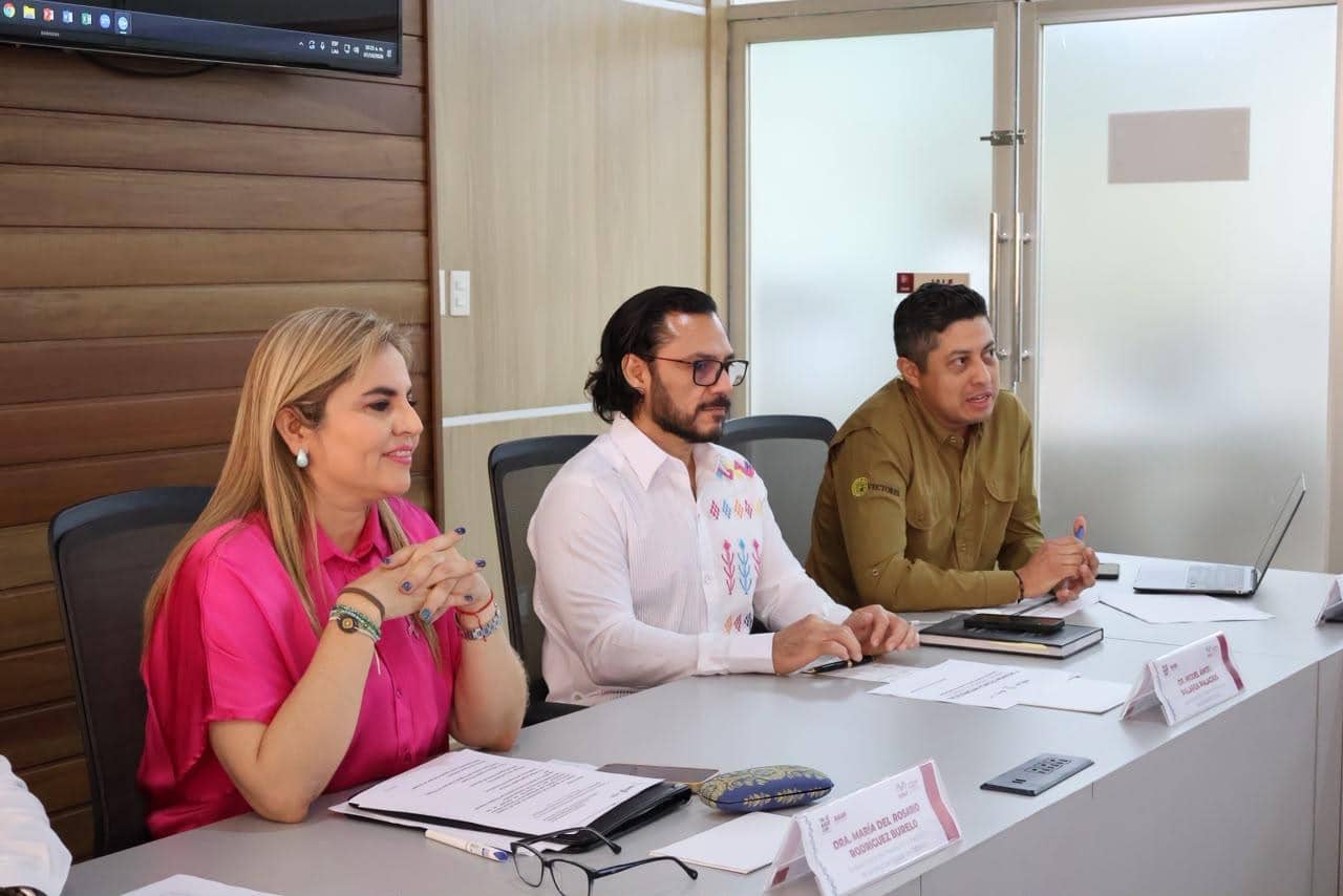 Chiapas, Veracruz y Tabasco, juntos contra el dengue
